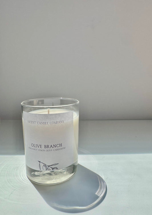 Olive Branch